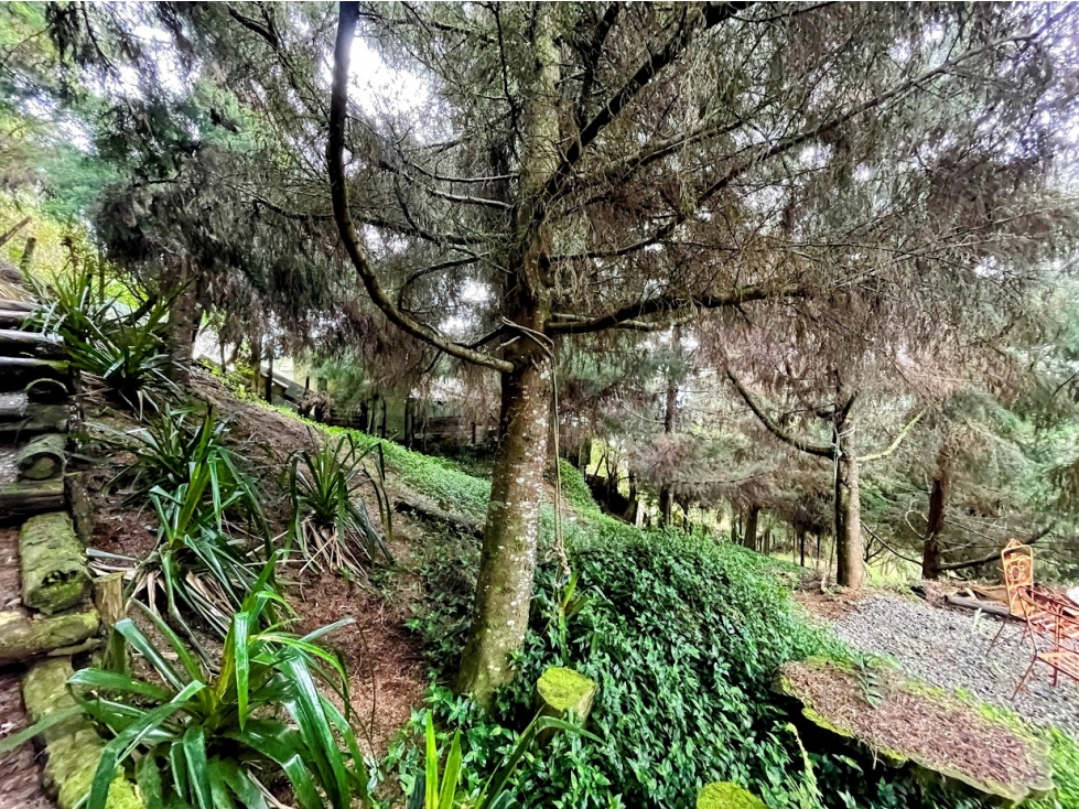 Lote Idependiente Vía Las Palmas / Medellín. Con quebrada cristalina. — foto 6