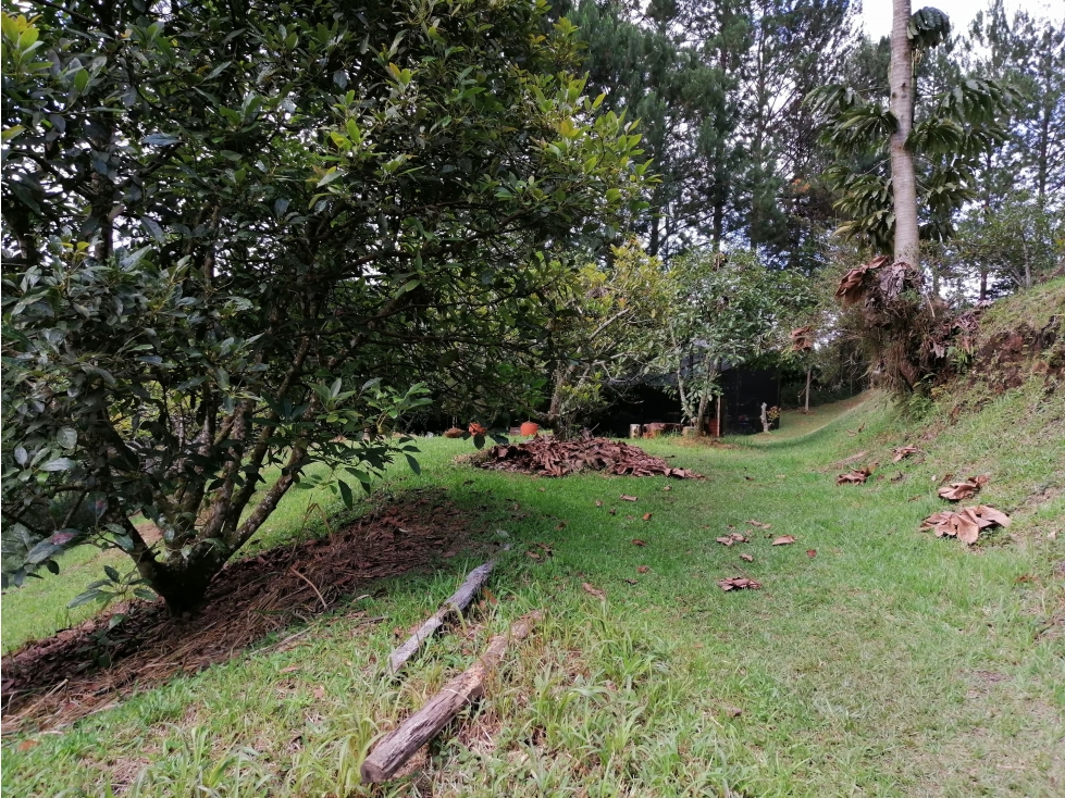 Finca en la vía Llanogrande / Retiro el foco de la venta es el Lote — foto 3