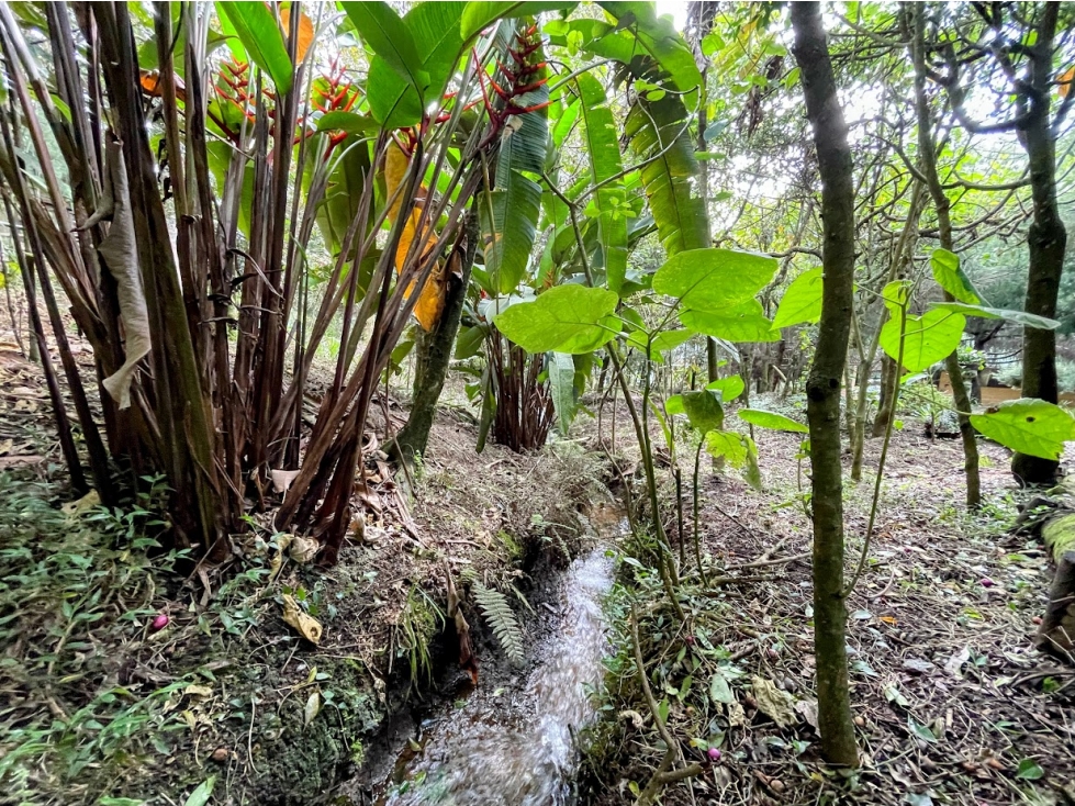 Lote Idependiente Vía Las Palmas / Medellín. Con quebrada cristalina. — foto 4