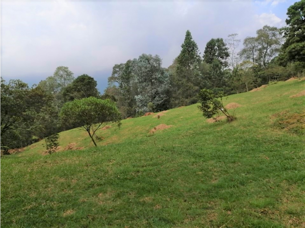 Vendo Hermoso Lote Rural La Miel / La Catedral — foto 4