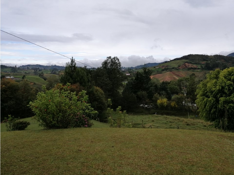Vendo hermosa finca campesina lote 20.000 con granja porcícola — foto 3