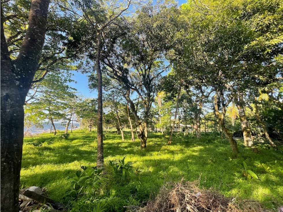 ¡¡¡Vendo el lote mirador mejor ubicado en el Golfo de Urabá!!! Necoclí - 5