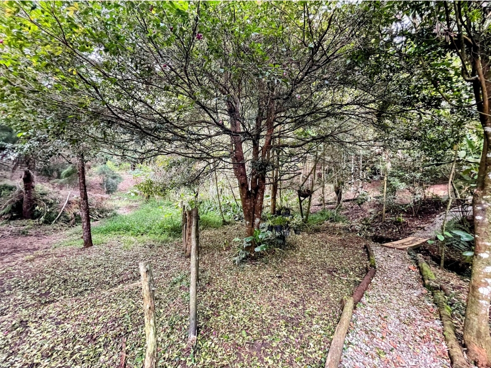 Lote Idependiente Vía Las Palmas / Medellín. Con quebrada cristalina. — foto 2