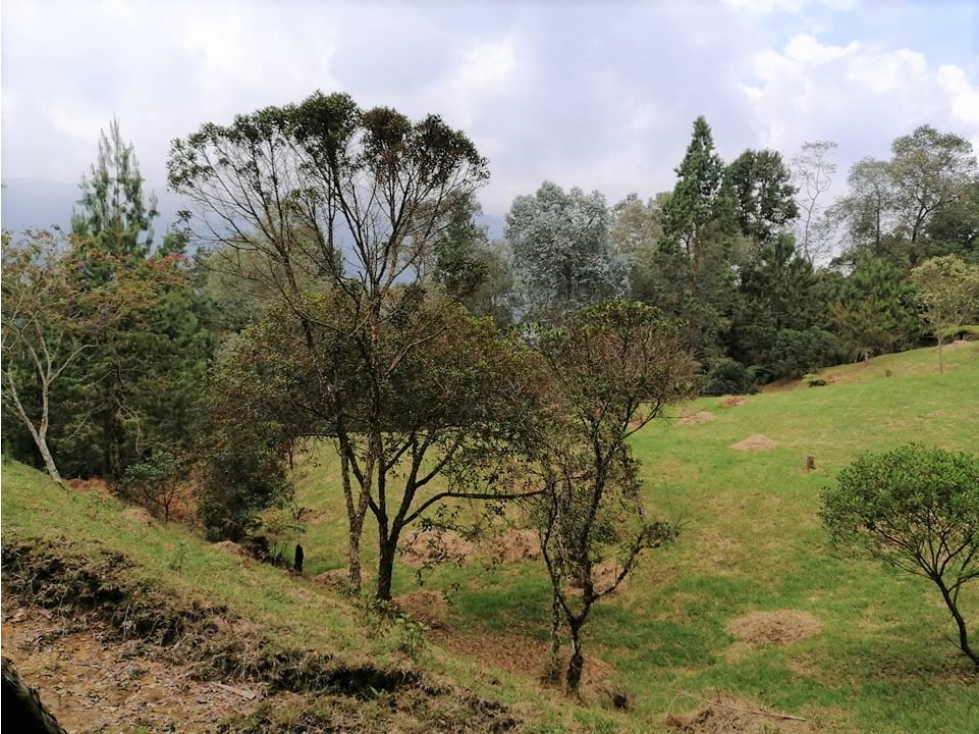 Vendo Hermoso Lote Rural La Miel / La Catedral — foto 5