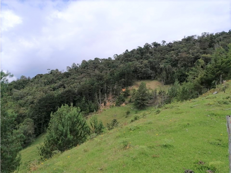Lote en El Retiro Puente Peláez $1.560Mill o 2 por $865Mill y $696Mill — foto 3