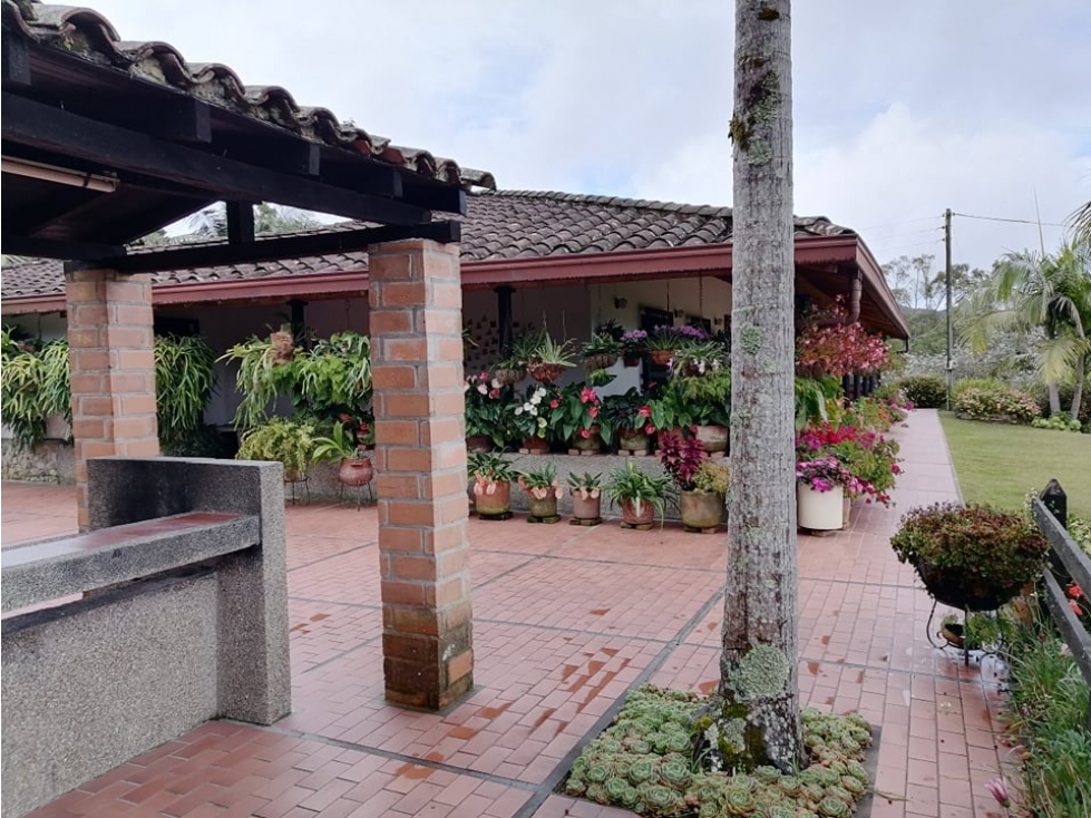 Vendo hermosa finca campesina lote 20.000 con granja porcícola — foto 4