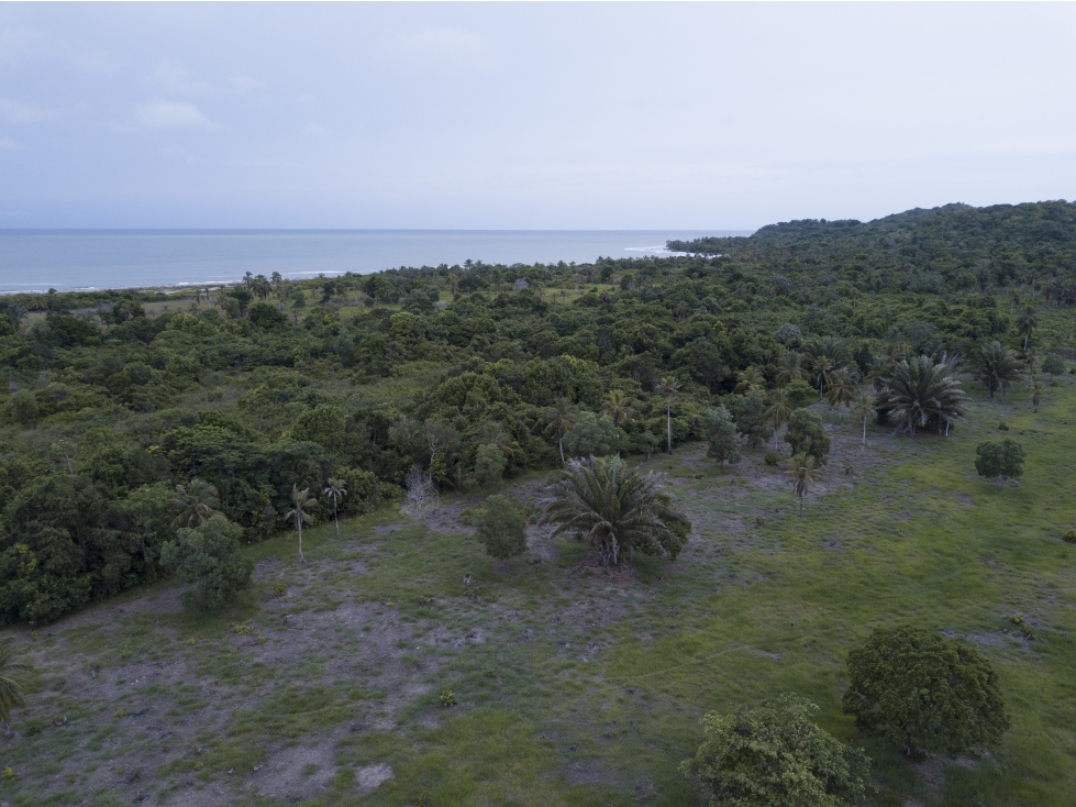 EL LOTE DE TERRENO CON PLAYA MAS LINDO DE URABÁ - 4