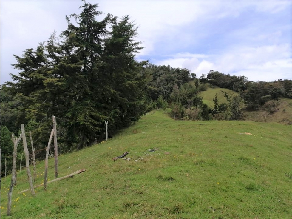 Lote en El Retiro Puente Peláez $1.560Mill o 2 por $865Mill y $696Mill — foto 4