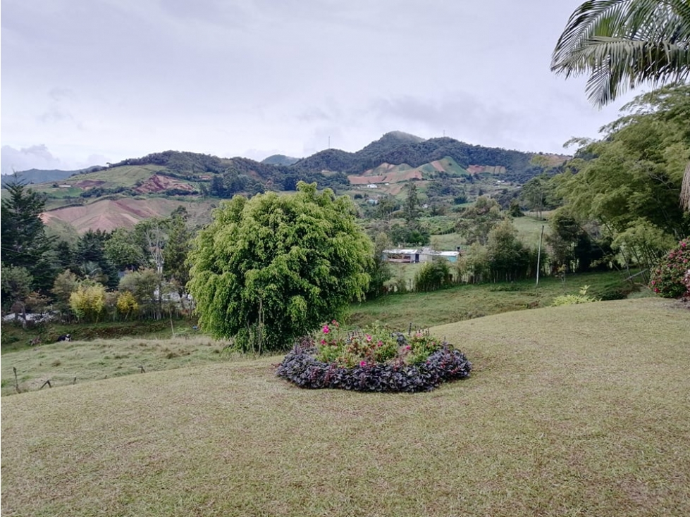 Vendo hermosa finca campesina lote 20.000 con granja porcícola — foto 5