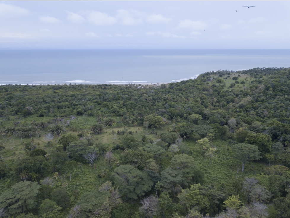 EL LOTE DE TERRENO CON PLAYA MAS LINDO DE URABÁ - 5