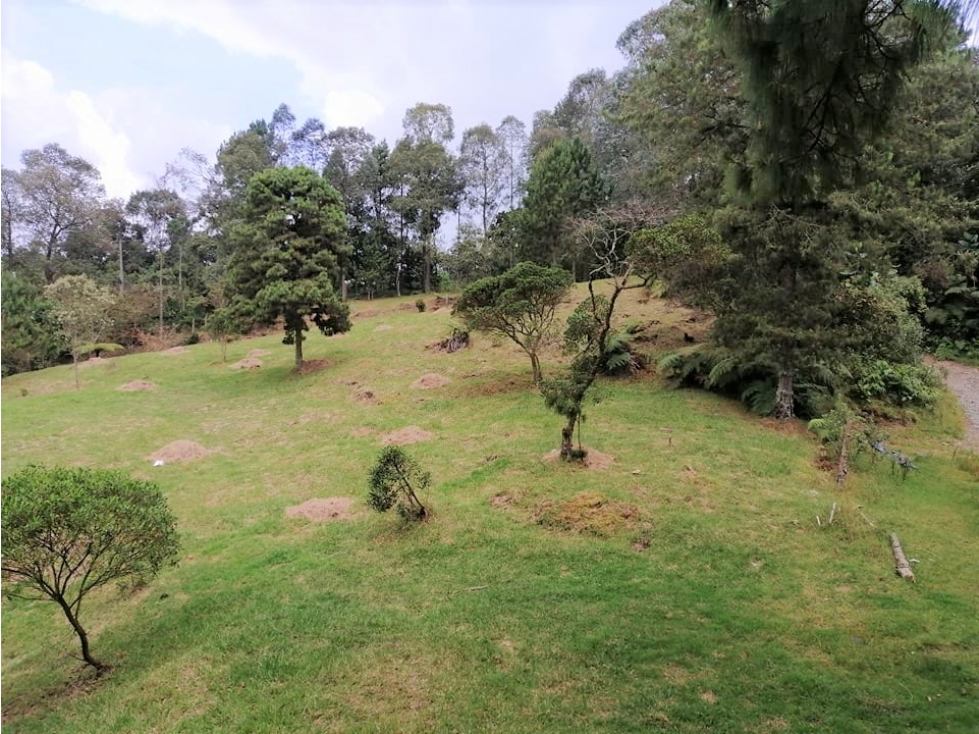 Vendo Hermoso Lote Rural La Miel / La Catedral — foto 6