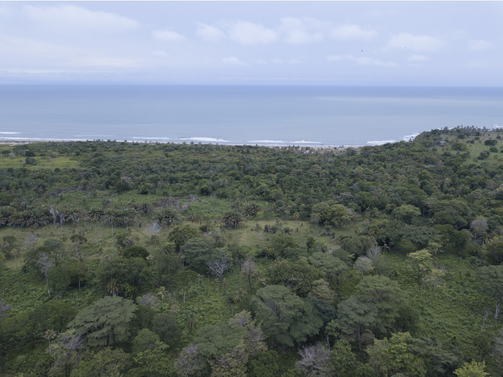 EL LOTE DE TERRENO CON PLAYA MAS LINDO DE URABÁ - 6
