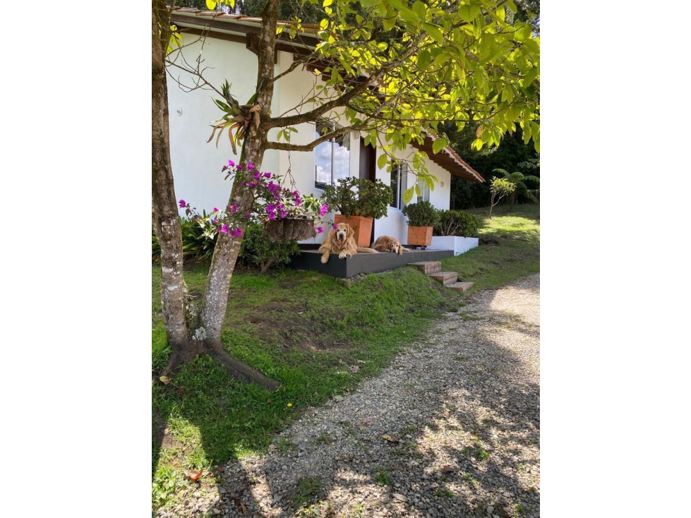 ARRIENDO CASA DE HUESPED EN GUARNE VEREDA LA MOSQUITA - 3