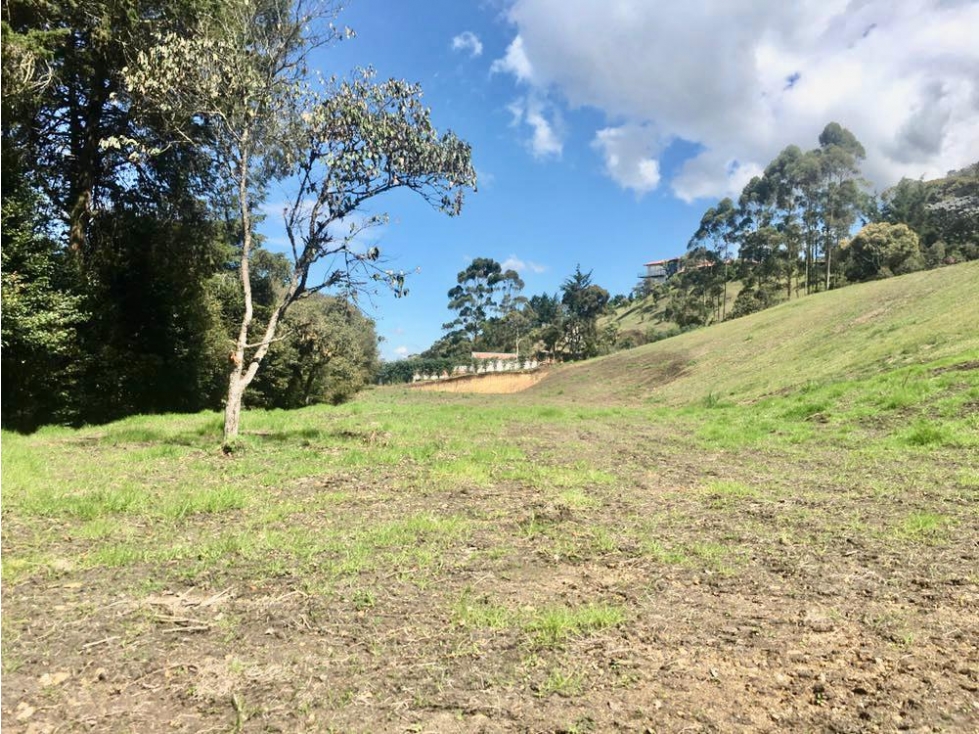 LOTE EN VENTA EN LLANOGRANDE - CON NORMA PARA CONDOMINIO — foto 4