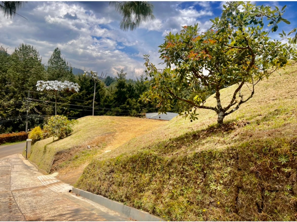 VENTA O PERMUTA DE LOTE, VEREDA CARRIZALES, EL RETIRO, POR EL VERMONT — foto 6