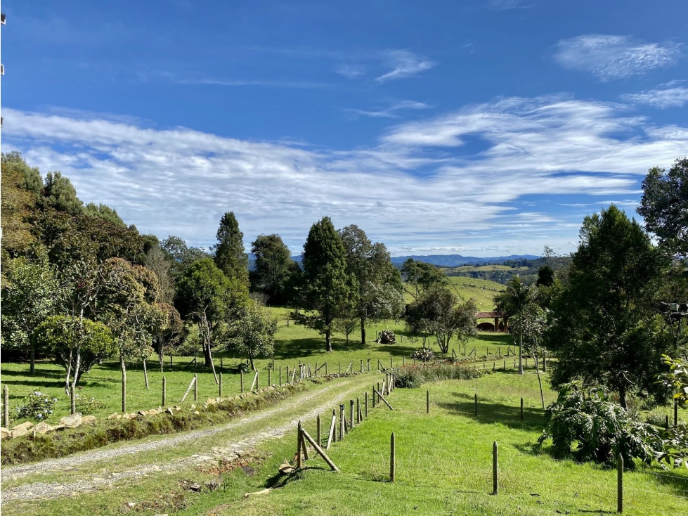 VENTA DE FINCA EN SANTA ELENA VEREDA EL PLAN