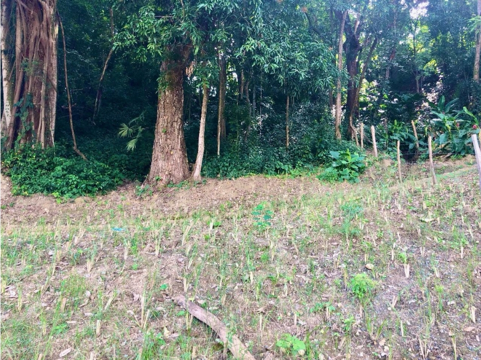VENTA DE LOTE EN PARCELACION EN SOPETRAN — foto 6
