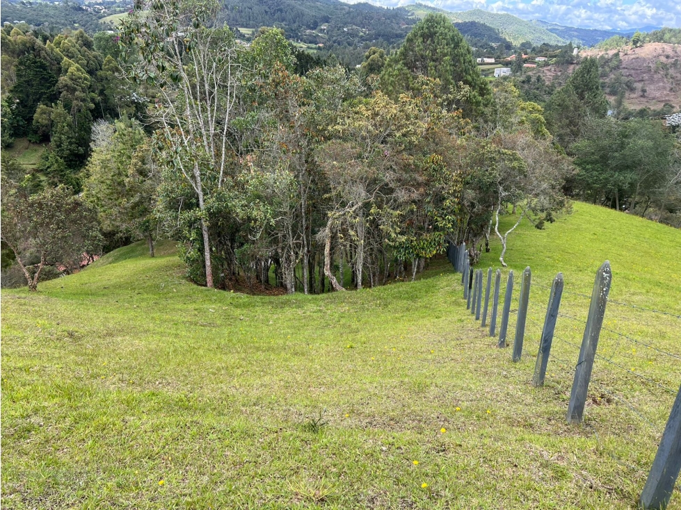 VENTA DE LOTE INDEPENDIENTE, ALTO DE LAS PALMAS SECTOR MERCAJUSTE — foto 2