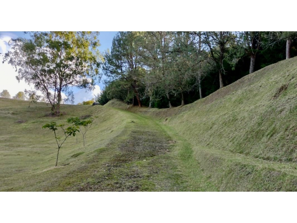 VENTA DE LOTE EN EL TABLAZO, RIONEGRO — foto 6