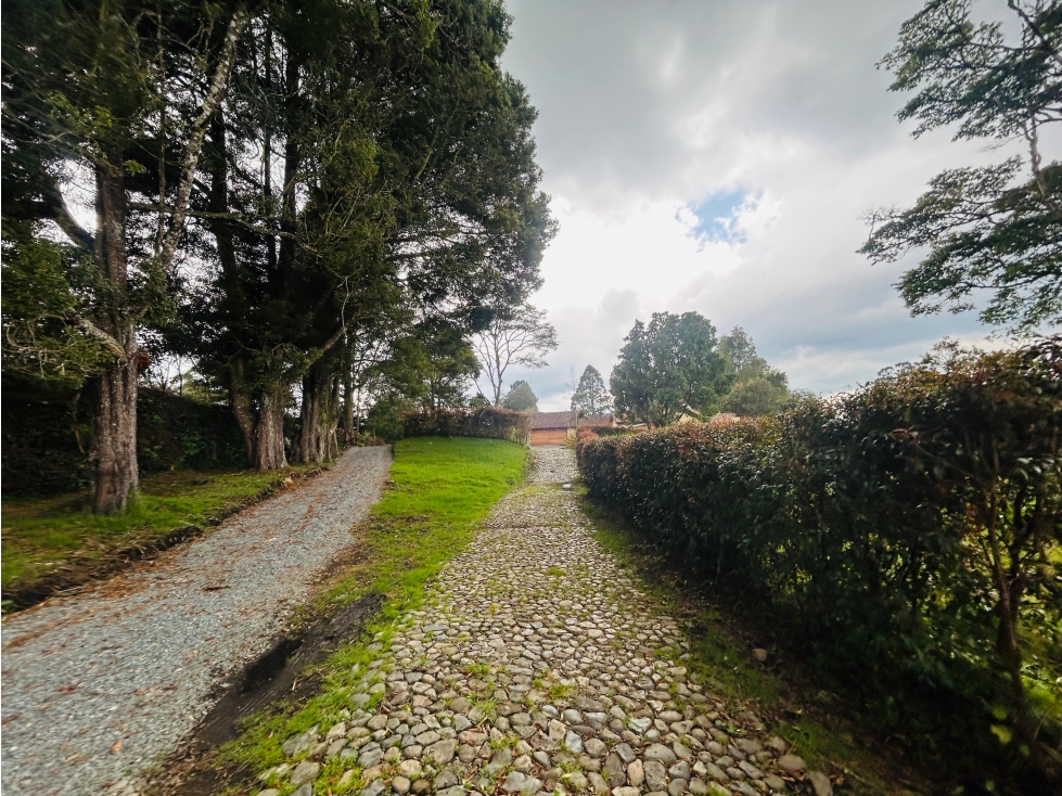 Casa independiente para arrendar Alto de Palmas | El Chuscal — foto 5