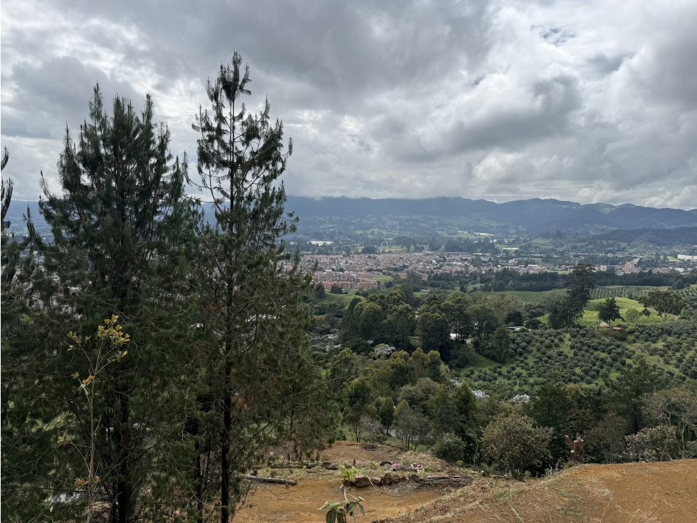 Lote en Venta, Vda La Milagrosa - La Ceja