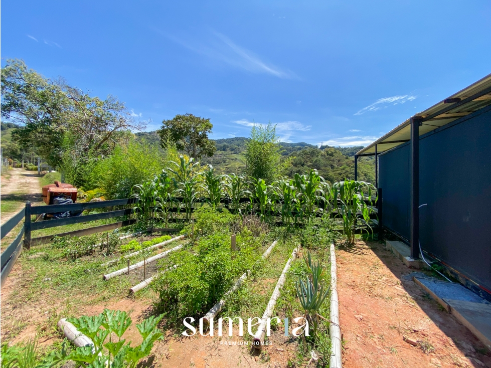 Lote independiente para la venta en Guatape — foto 5