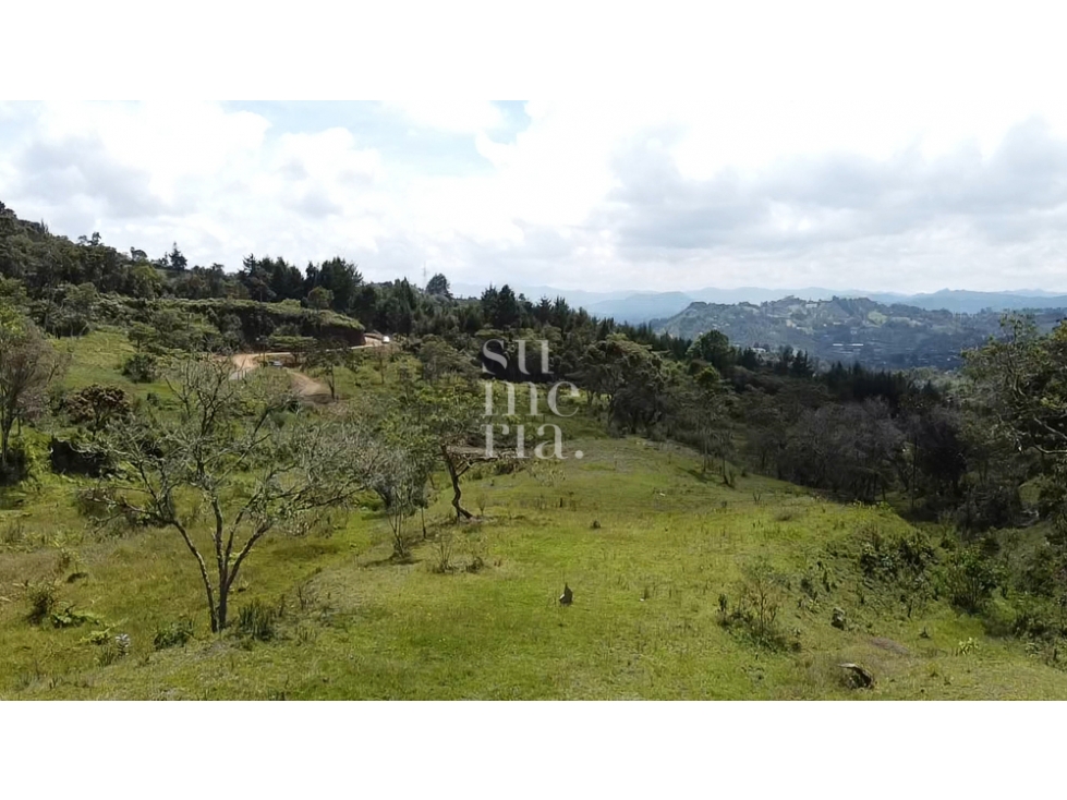 Lote Independiente Rionegro