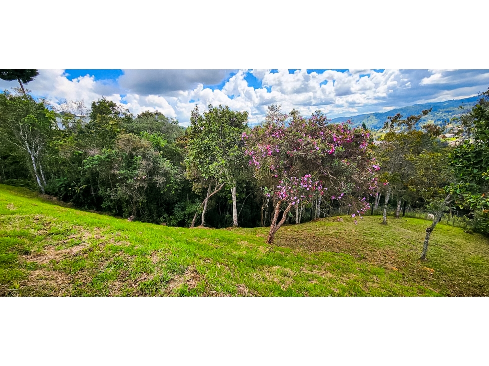 Lote con Vista en parcelación Guarne vereda Montañez — foto 5