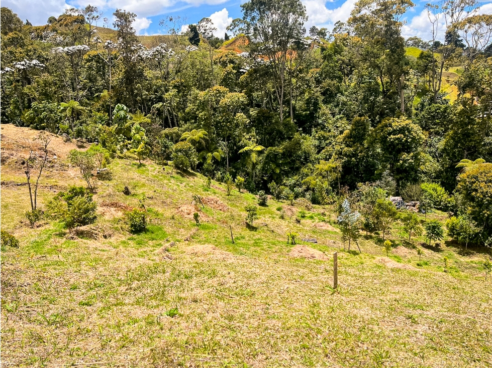 Lote en parcelación para la venta Rionegro- sector el Tablazo — foto 6
