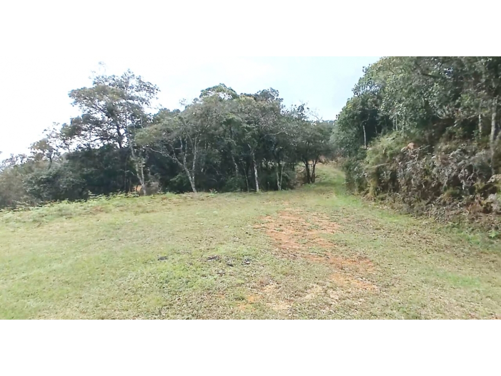 SE VENDE LOTE ALTO LAS PALMAS, VEREDA PANTANILLO / 6.400m²