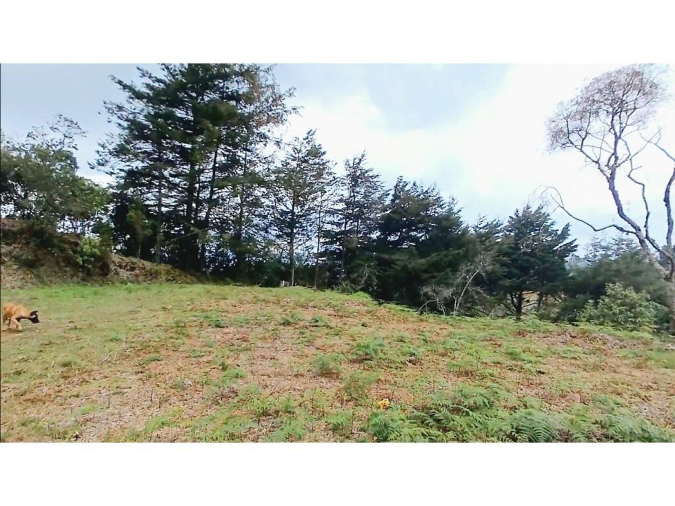 SE VENDE LOTE ALTO LAS PALMAS, VEREDA PANTANILLO / 6.400m² — foto 2