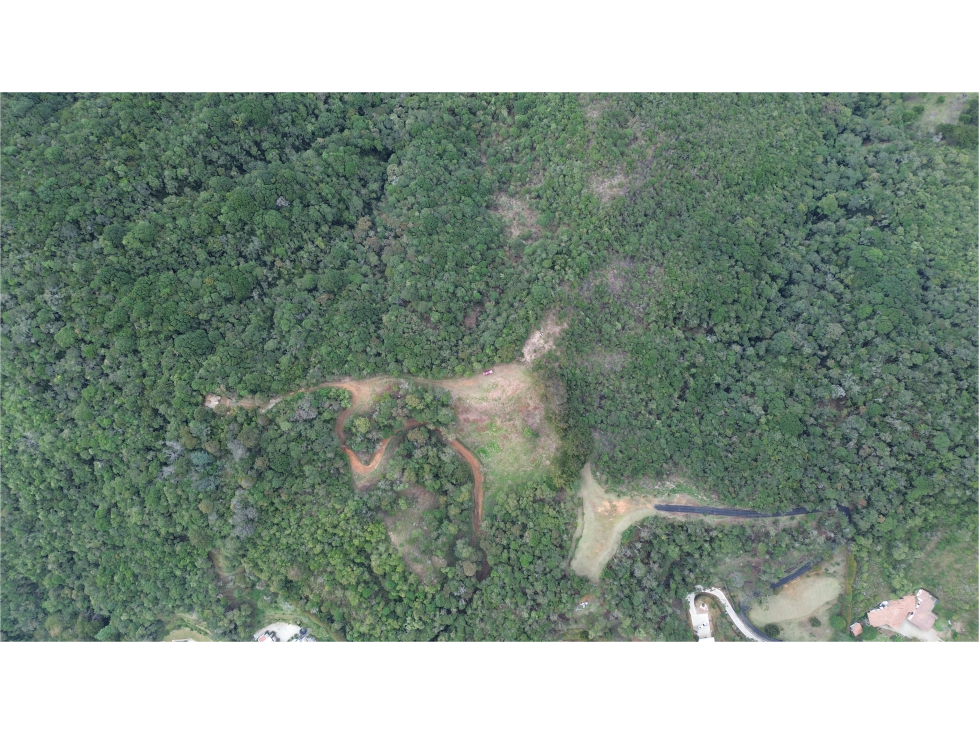 SE VENDE LOTE ALTO LAS PALMAS, VEREDA PANTANILLO / 6.400m² — foto 5