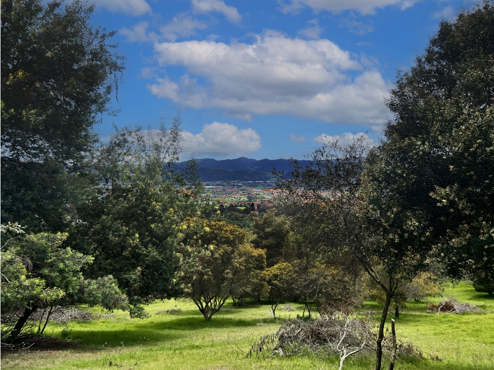 Lote en Venta en Yerbabuena, Chía - 5