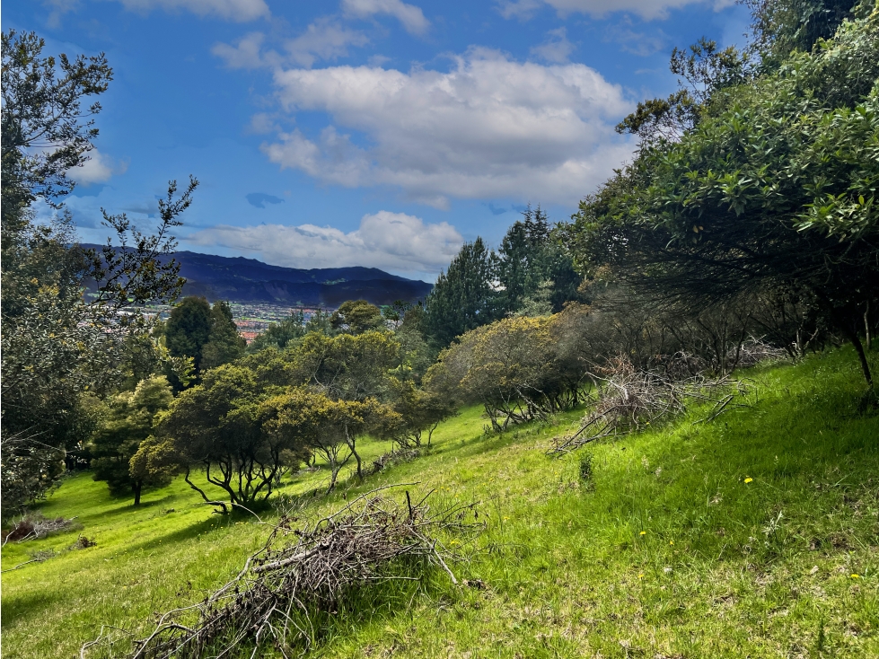 Lote en Venta en Yerbabuena, Chía - 6