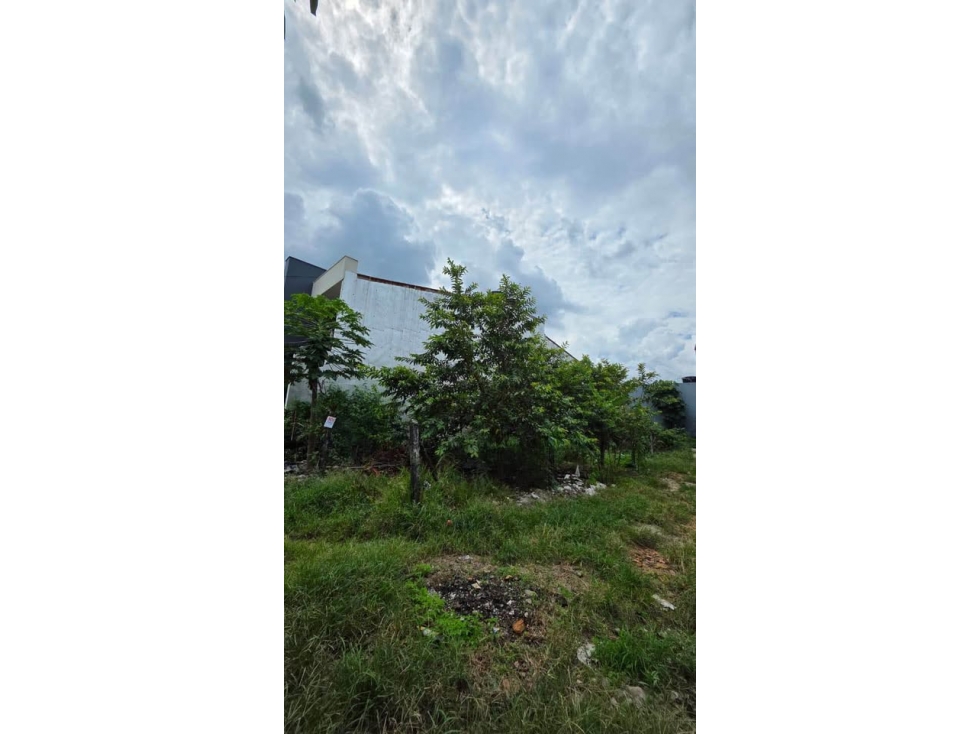 Se vende lote en acacias barrio araguaney - 3