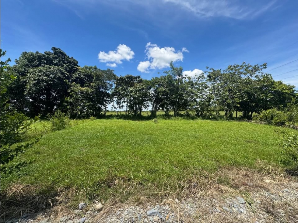 Lote en acacias meta - 3