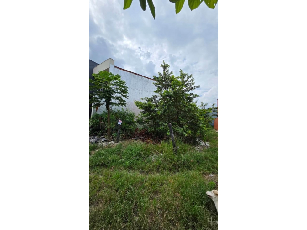 Se vende lote en acacias barrio araguaney - 4
