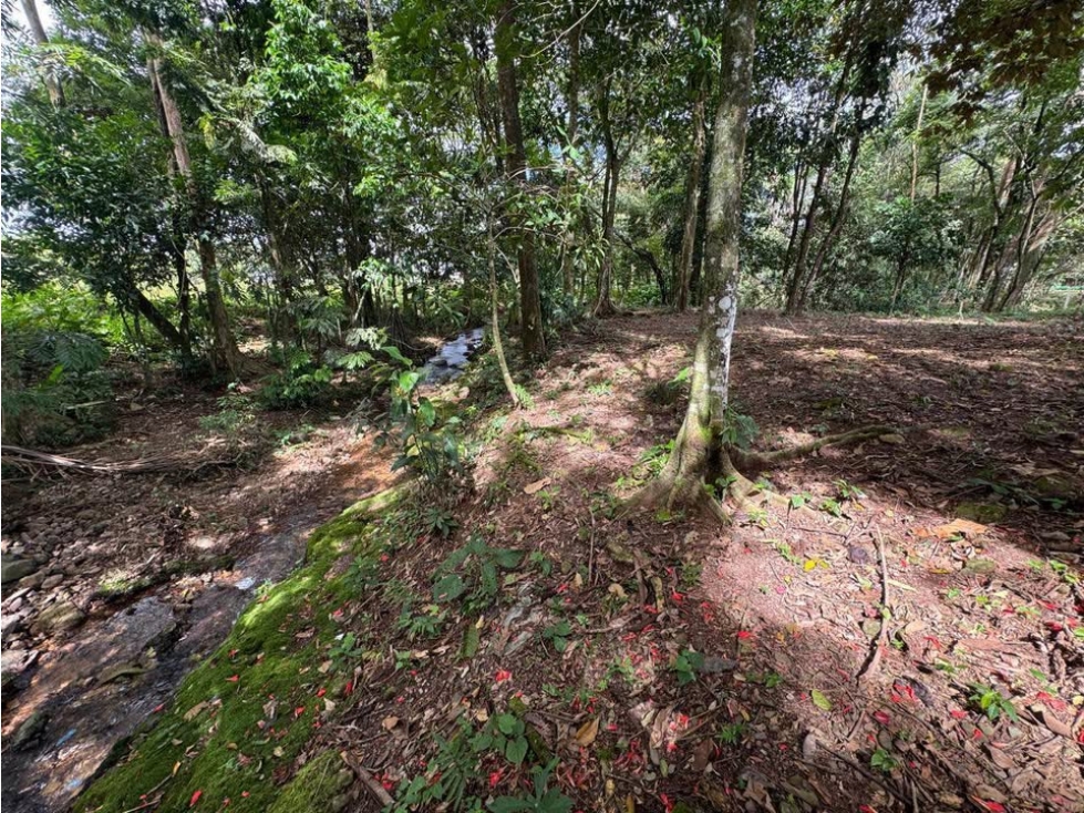 Se vende lote en Restrepo - 4