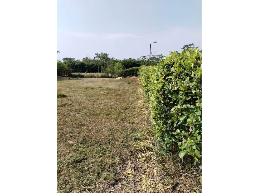 Se vende lote en Restrepo condominio estancia de Marantha - 5