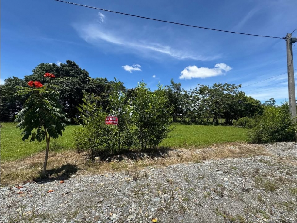 Lote en acacias meta - 5