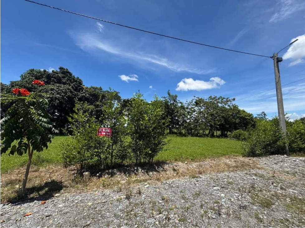 Lote en acacias meta - 6