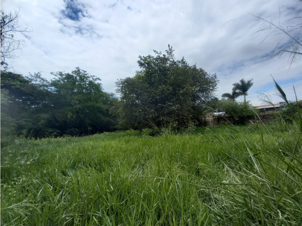 Venta Lote de 3028mt2 en Pance, Sur de Cali — foto 2