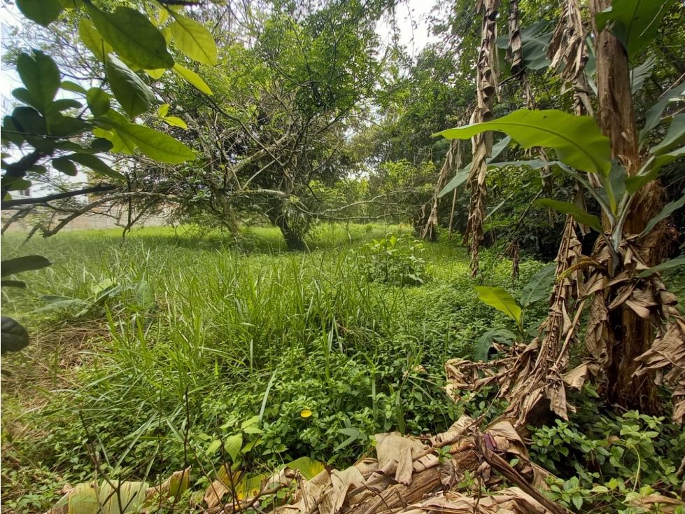 Venta Lote de 3028mt2 en Pance, Sur de Cali — foto 3