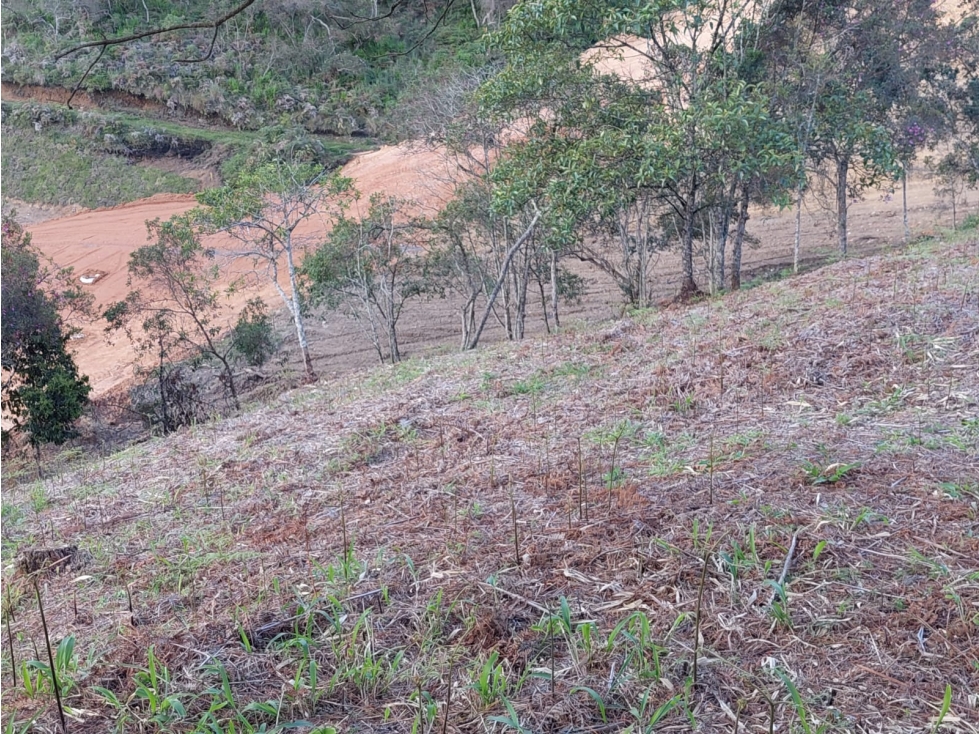 Lote en parcelación ubicado en San Antonio, La Ceja — foto 3