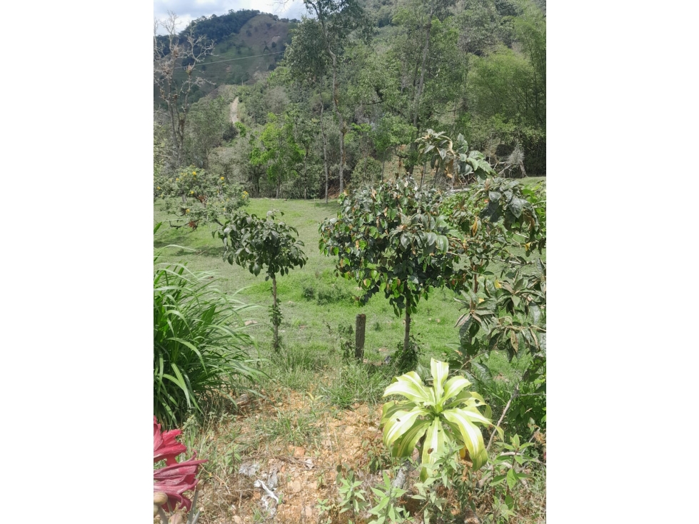 LOTE EN VENTA EN LA VEGA, CUNDINAMARCA - 1