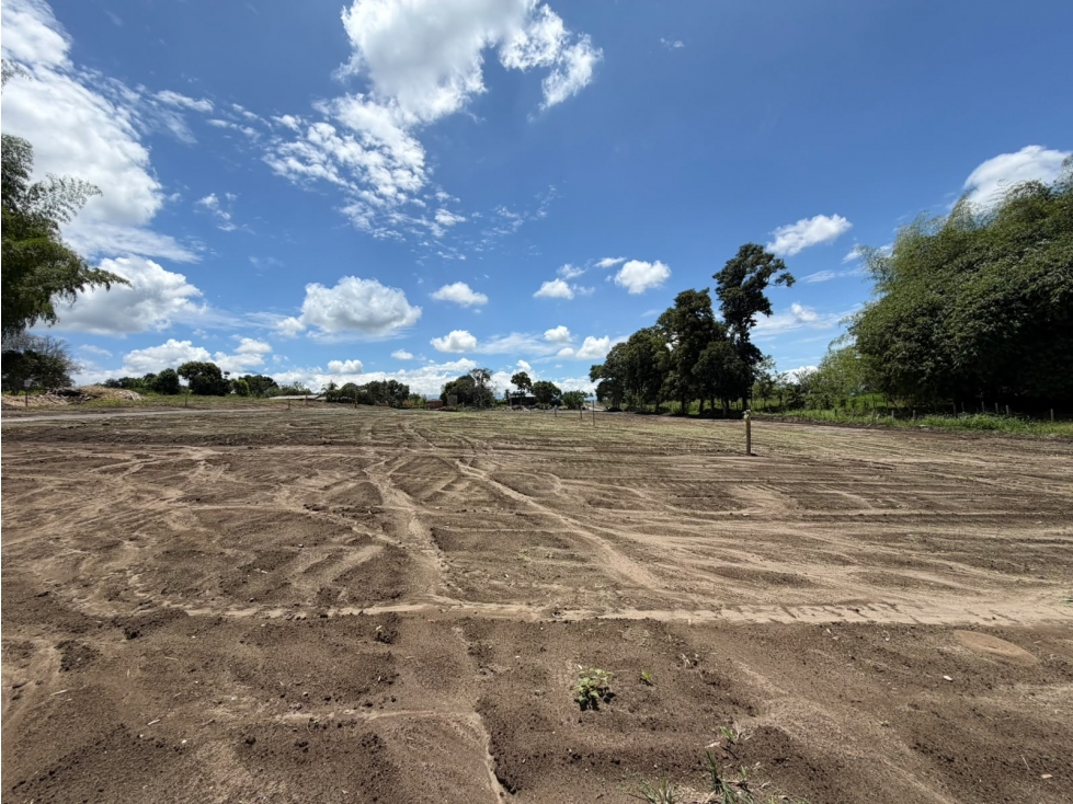 LOTE CAMPESTRE - 1