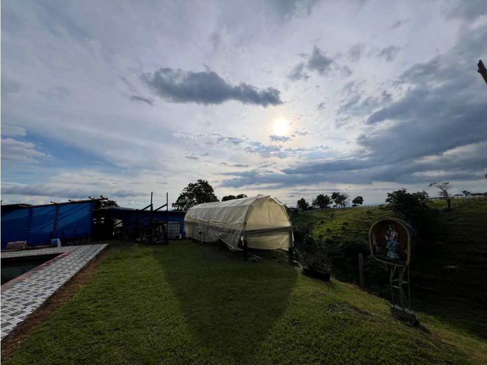 FINCA PRODUCTORA — foto 2