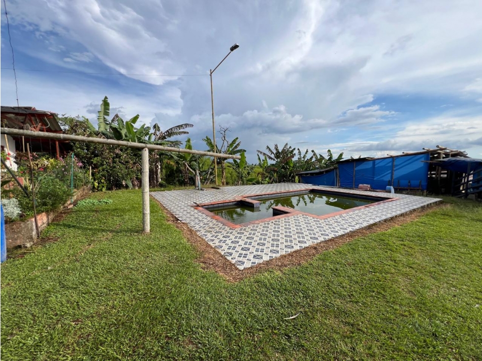 FINCA PRODUCTORA — foto 3