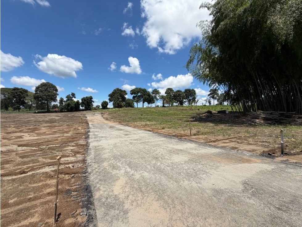 LOTE CAMPESTRE - 3