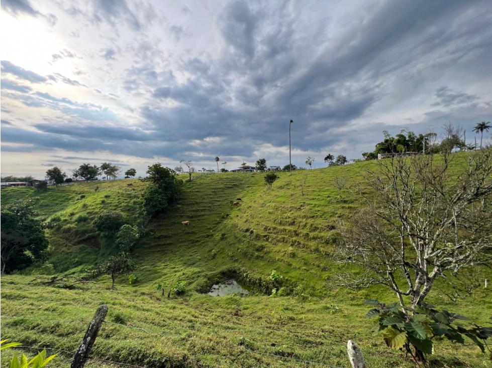 FINCA PRODUCTORA — foto 4